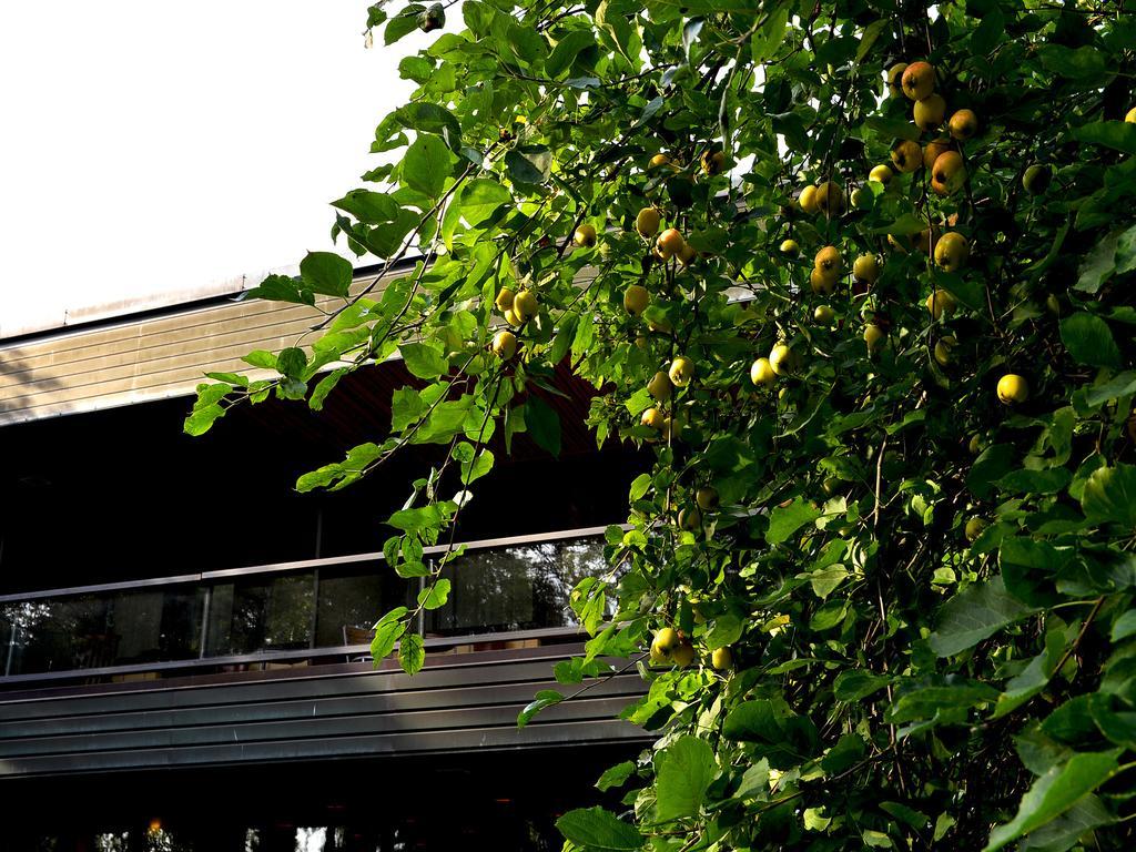 Hotel Fjalar Salo  Exteriér fotografie
